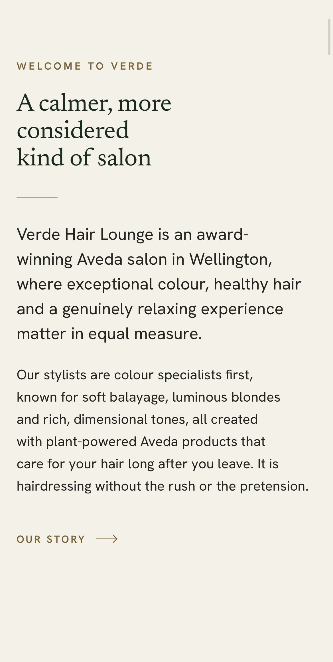 Verde Hair Lounge mobile site, below the hero